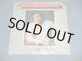 画像: DAVID GATES (of BREAD ) - TAKE ME NOW ( SEALED : Cut Out )  / 1981  US AMERICA Original  "BRAND NEW SEALED" LP 