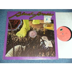 画像: BLACK GRASS (With LEON RUSSEL) - BLACK GRASS / 1973 US AMERICA ORIGINAL Used LP 