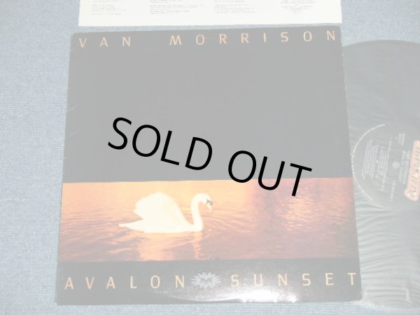 画像1: VAN MORRISON - AVALON SUNSET( Ex++/MINT-)  / 1989 US AMERICA  ORIGINAL Used L