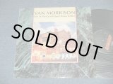 画像: VAN MORRISON - LIVE AT THE GRAND OPERA HOUSE BELFAST ( Ex++/MINT-)  / 1984 US AMERICA  ORIGINAL Used L