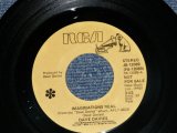 画像: DAVE DAVIS of THE KINKS - IMAGINATION REAL : WILD MAN  (MINT-/MINT- )  / 1980  US AMERICA  ORIGINAL "PROMO"  Used 7" Single 