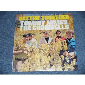 画像: TOMMY JAMES & The SHONDELLS - GETTIN' TOGETHER  (SEALED) / 1968 US AMERICA  ORIGINAL MONO "Brand New SEALED" LP