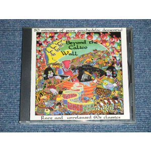 画像: V.A. OMNIBUS  - BEYOND THE CALKO WALL : 80 MINUTES of PURE PSYCHEDELIC DEMENTIAL : RARE and UNRELEASED 60's CLASSICS (MINT/MINT)  / 1990 Version US AMERICA ORIGINAL "1st Press Version"  Used CD 