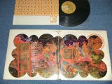 画像: The BUTTERFIELD BLUES BAND - IN MY OWN DREAMS ( Matrix #A)   EKS-74025A  (AL) /B)   EKS-74025B  (AL)) (VG++/Ex++)  /1968 US AMERICA ORIGINAL "GOLD Label" STEREO  UsedLP