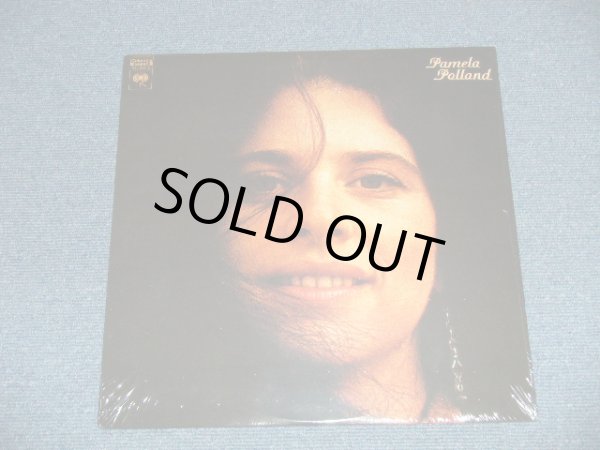 画像1: PAMELA POLLAND - PAMELA POLLAND ( SEALED) /   1990's US AMERICA  REISSUE "BRAND NEW SEALED"   LP
