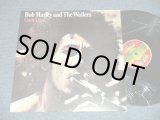 画像: BOB MARLEY & The WAILERS - CATCH A FIRE ( NEW) / US AMERICA   Reissue "BRAND NEW" LP