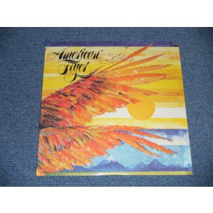 画像: AMERICAN FLYER (ERIC & STEVE KAZ,CRAIG FULLER, DOUG YULE, Prod by GEORGE MARTIN) - AMERICAN FLYER (Sealed  Cut Out ) / 1976 US AMERICA ORIGINAL "BRAND NEW SEALED"  LP 