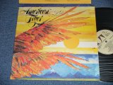 画像: AMERICAN FLYER - AMERICAN FLYER  ( Produced by GEORGE MARTIN) ( Ex+/Ex+ Cut Out) / 1976 US AMERICA ORIGINAL Used  LP