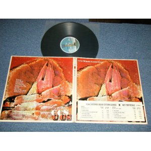画像: CCS - WHOLE LOTTA LOVE  (MATRIX #   A) PAL 30559-1A     B) PBL 30559-1A  ) ( Ex+/Ex++ Looks:Ex+++ EDSP) / 1970 US AMERICA  ORIGINAL  "PROMO"  Used LP
