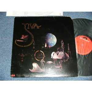 画像: JIVA -STILL LIFE ( Ex++/Ex+++ Cutout )   / 1978 US AMERICA ORIGINAL Used  LP 