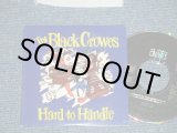 画像: The BLACK CROWES- HARD TO HANDLE  (MINT-/MINT) /1990 US AMERICA   ORIGINAL"PROMO ONLY" Used  Maxi-CD