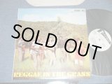 画像: V.A. OMNIBUS (Sound Dimensions, Bob Andy, John Holt, Roy Richards, Larry & Alvin, Bob & Marcia, Clive Alphonso, Val Bennett, Delroy Wilson, The Consumates, ) - REGGAE IN THE GRASS  ( Ex+++/MINT-)  / JAMAICA  Used LP 