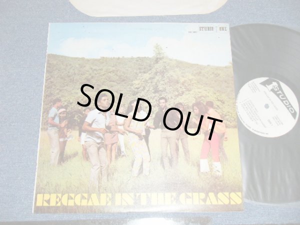 画像1: V.A. OMNIBUS (Sound Dimensions, Bob Andy, John Holt, Roy Richards, Larry & Alvin, Bob & Marcia, Clive Alphonso, Val Bennett, Delroy Wilson, The Consumates, ) - REGGAE IN THE GRASS  ( Ex+++/MINT-)  / JAMAICA  Used LP 