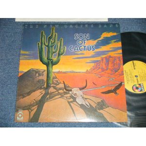 画像: The NEW CACTUS BAND-  SON OF CACTUS  ( Matrix #  A) ST-C-732777-C  AtlGp  PR   B) ST-C-732778-C  ATLGP  PR ) (Ex++/MINT-) / 1973 US AMERICAN ORIGINAL "RECORD MAIL ORDER Issue"  1st Press "YELLOW Label" 1st Press "1841 BROADWAY Label"  Used LP 
