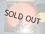 画像: CACTUS -  CACTUS ( Matrix #  A) ST C 701915-1  C CTH  B) ST C 701916-3D  CTH) (Ex-/Ex+++ EDSP, WOL)  / 1970 US AMERICAN ORIGINAL 1st Press "YELLOW with 1841 BROADWAY label"  Used LP 
