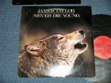 画像: JAMES TAYLOR - NEVER DIE YOUNG  ( Ex+/Ex+++ Looks:MINT- ) / 1988 US AMERICA ORIGINAL Used  LP
