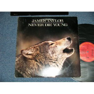 画像: JAMES TAYLOR - NEVER DIE YOUNG  ( Ex+/Ex+++ Looks:MINT- ) / 1988 US AMERICA ORIGINAL Used  LP