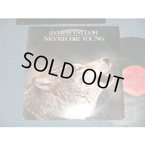 画像: JAMES TAYLOR - NEVER DIE YOUNG  ( Ex+/Ex+++ Looks:MINT- ) / 1988 US AMERICA ORIGINAL Used  LP