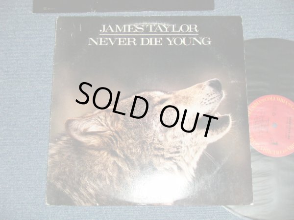 画像1: JAMES TAYLOR - NEVER DIE YOUNG  ( Ex+/Ex+++ Looks:MINT- ) / 1988 US AMERICA ORIGINAL Used  LP