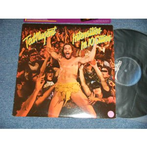 画像: TED NMUGENT - INTENSITIES IN 10 CITIES (Ex++/MINT-) / 1981 US AMERICA ORIGINAL Used LP 