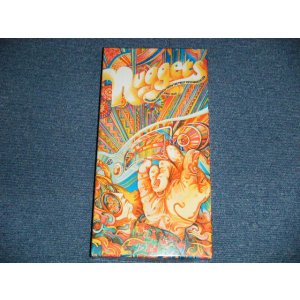 画像: v.a. Omnibus - NUGGETS (MINT-/MINT) / 1998 US AMERICA Used 4-CD's Box Set with BOOKLET 