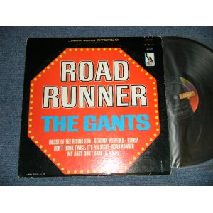 画像: THE GANTS - ROAD RUNNER(Ex+/VG+++ Looks:Ex) / 1965 US ORIGINAL STEREO Used  LP 
