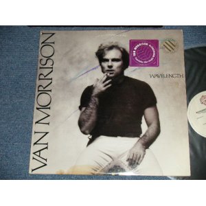 画像: VAN MORRISON - WAVELENGTH ( Matrix # A) BSK-3212-A  B) BSK-3212 -B) (Ex++/MINT- ) / 1978 US AMERICA ORIGINAL "PROMO" Used LP