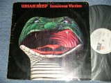 画像: URIAH HEEP - INNOCENT VICTIM  ( VG+++/Ex+++ Looks:Ex++ ) / 1977  MEXICO   ORIGINAL Used LP 