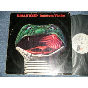 画像: URIAH HEEP - INNOCENT VICTIM  ( VG+++/Ex+++ Looks:Ex++ ) / 1977  MEXICO   ORIGINAL Used LP 