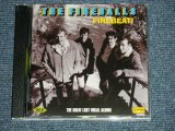 画像: The FIREBALLS - FIREBEAT! : THE GREAT LOST VOCAL ALBUM ( MINT/MINT) / 2006 UK ENGLAND ORIGINAL  Used CD
