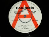 画像: FREDDIE AND THE DREAMERS - JUST FOR YOU : DON'T DO THAT TO ME  (MINT-/MINT-) / 1964 UK ENGLAND ORIGINAL wWHITE LABEL PROMO" Used 7" Single 