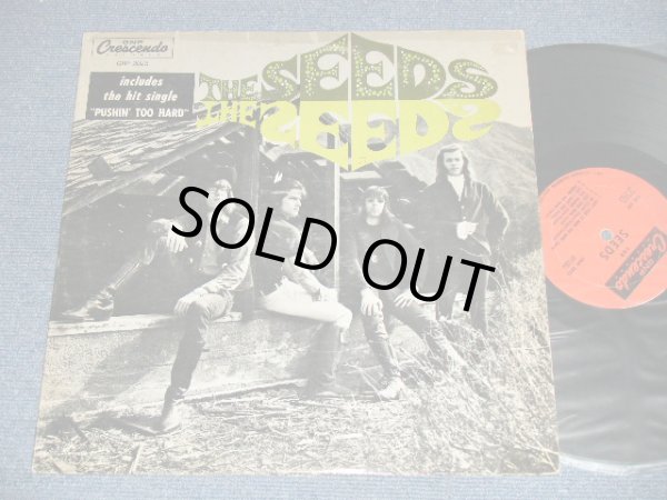 画像1: The SEEDS  - THE SEEDS (Ex-/Ex+ BB, Tapeseam)   / 1966 US AMERICA  ORIGINAL MONO Used  LP 