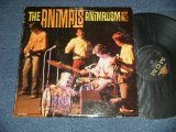 画像: The ANIMALS - ANIMALISM ( Ex-/Ex++ Looks:VG+++ TAPE SEAM, SPRAY MISTED) / 1965 US AMERICA ORIGINAL MONO Used LP 