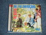 画像: THE FIVE AMERICANS -  THE BEST OF (MINT/MINT) / 2003 US AMERICA ORIGINAL Used CD