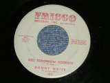 画像: DANNY WHITE - KISS TOMORROW GOODBYE : THE LITTLE BITTY THINGS   (Northern )  (Ex- Looks:VG+++/Ex- Looks:VG+++  WOL ) /  1962 US AMERICA ORIGINAL Used 7"45  Single