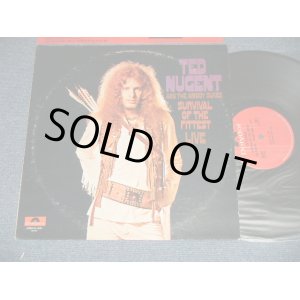 画像: TED NUGENT and The AMBOY DUKES  - SURVIVAL OF THE FITTEST LIVE  (Matrix # A) POLD-80109-1A   STERLING    B) POLD-80110-1A  STERLING   )   ( Ex/Ex+++  ) / 1970 US AMERICA ORIGINAL Used LP