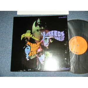 画像: The SEEDS  - RAIN & ALIVE (MINT/MINT-)  / US AMERICA  REISSUE Used LP 