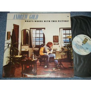 画像: ANDREW GOLD - WHAT'S WRONG WITH THIS PICTURE?  (Ex+/Ex++, MINT BB-)  / 1976  US AMERICA  ORIGINAL "PROMO" Used LP 