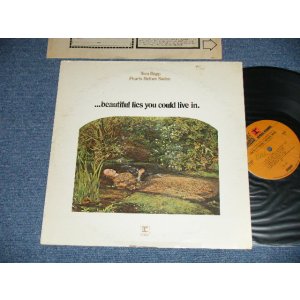 画像: TOM RAPP, PEARLS BEFORE SWINE - ...BEAUTIFUL LIES YOU COULD LIVE IN. (Ex+/MINT- WOL, EDSP, Tape Seam)  / 1971  US AMERICA ORIGINAL "1st Press BROWN with 'r' Logo on Top and STEREO at Bottom Label" Used  LP