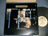 画像: JIM PULTE - OUT THE WINDOW  (With JESSE ED DAVIS, JIM KELTONER + More)   (Ex+++/MINT-  ) / 1972 US AMERICA  ORIGINAL Used  LP 