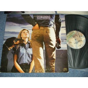 画像: SCORPIONS - ANIMAL MAGNETISM  : with INSERTS ( Ex/MINT-)  / 1980  US AMERICA ORIGINAL Used LP   
