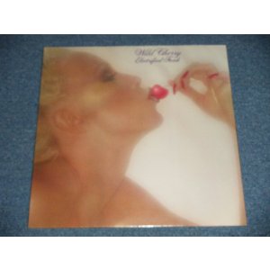 画像: WILD CHERRY - ELECTRIFIED FUNK (Sealed)  /  US AMERICA REISSUE "BRAND NEW SEALED"   LP