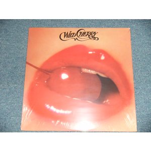 画像: WILD CHERRY - WILD CHERRY (included PLAY THAT FUNKY MUSIC)  (Sealed)  /  US AMERICA REISSUE "BRAND NEW SEALED"   LP