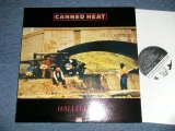 画像: CANNED HEAT - HALLELUJAH  (Ex+++/MINT) / 1989 UK ENGLAND Used LP