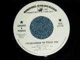 画像: ANDERS & PONCIA - A)I'M BEGINNING TO TOUCH YOU  B)  TAKE HIS LOVE   (MINT-/MINT-)  / 1969 US AMERICA ORIGINAL "WHITE LABEL PROMO" Used  7" Single