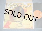 画像: HEAT WAVE - TOO HOT TO HANDLE (Ex+/Ex+++) / 1976 US AMERICA ORIGINAL Used LP 