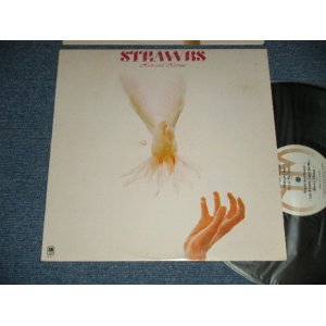 画像: STRAWBS  - HERO AND HEROIN ( Ex+/MINT-) / 1974 US AMERICA  ORIGINAL  Used LP 