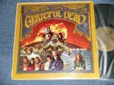 画像: GRATEFUL DEAD - GRATEFUL DEAD ( MATRIX NUMBER   A)  9233   W-1689 A 1D  B)  9234  W-1689 B  1E) (Ex-/VG+++ EDSP)  / 1967 US AMERICA ORIGINAL 1st Press "GOLD Label" MONO  Used LP 