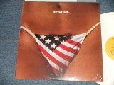 画像: The BLACK CROWES - AMORICA. : with SONG SHEET  (MINT-/MINT) /  1994 US AMERICA ORIGINAL "WHITE WAX Vinyl"  Used LP