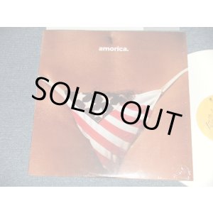 画像: The BLACK CROWES - AMORICA. : with SONG SHEET  (MINT-/MINT) /  1994 US AMERICA ORIGINAL "WHITE WAX Vinyl"  Used LP